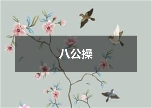 八公操