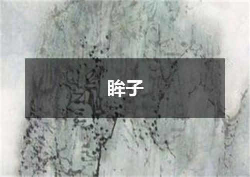 眸子