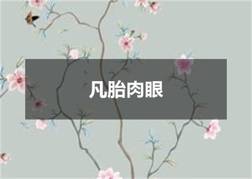 凡胎肉眼