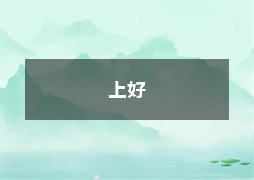 上好