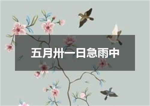 五月卅一日急雨中