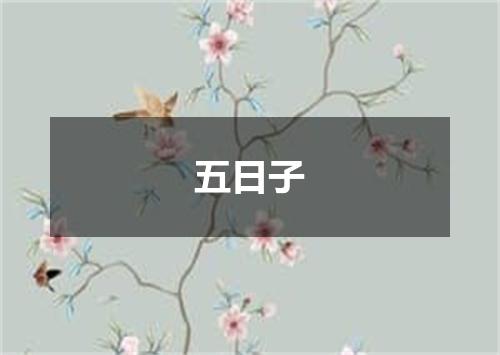 五日子