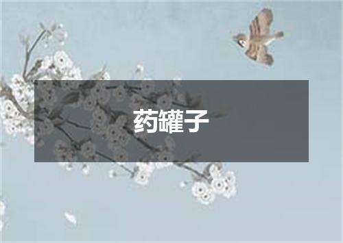 药罐子
