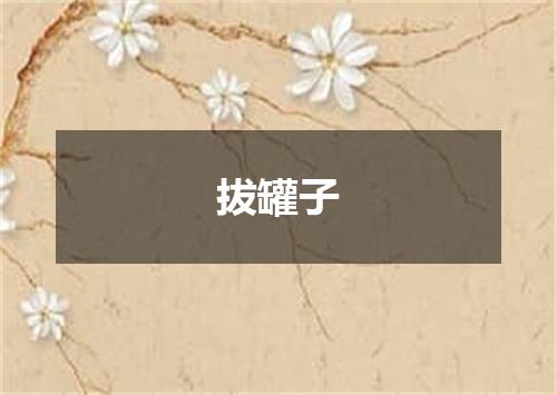 拔罐子