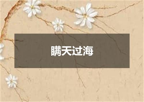 瞒天过海