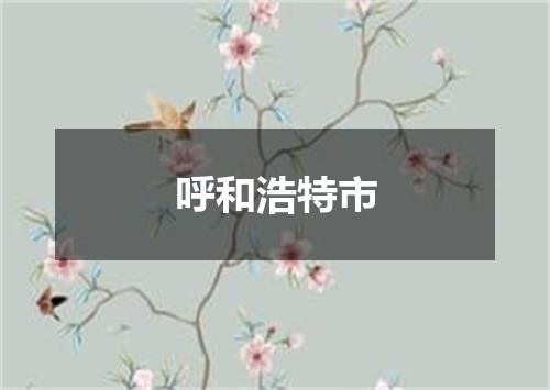 呼和浩特市