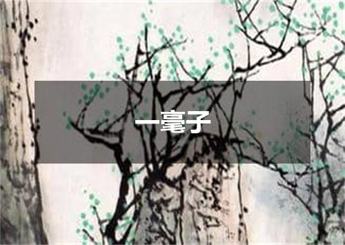 一毫子