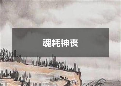 魂耗神丧