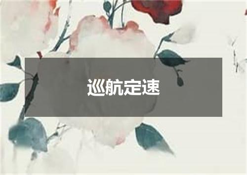 巡航定速
