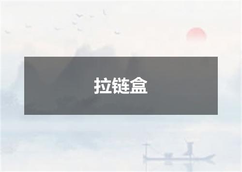拉链盒