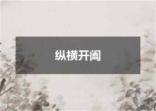 纵横开阖