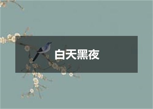 白天黑夜