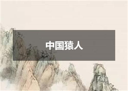 中国猿人