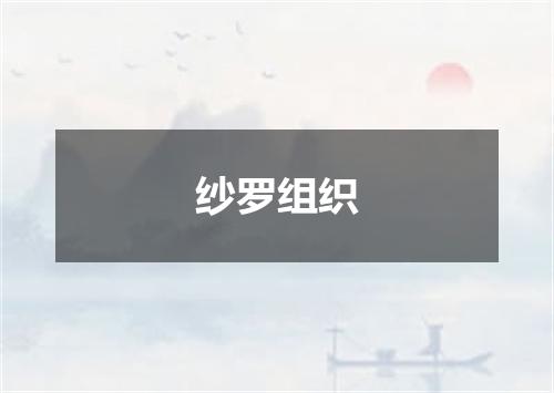 纱罗组织