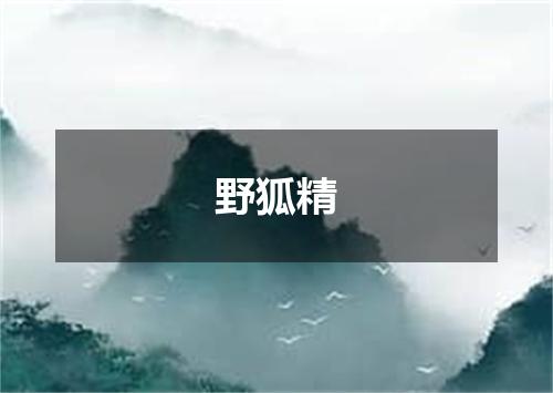 野狐精