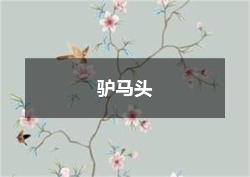 驴马头
