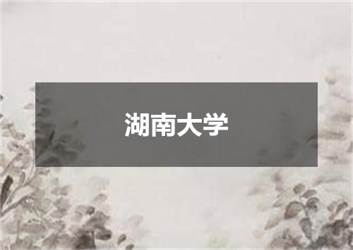 湖南大学