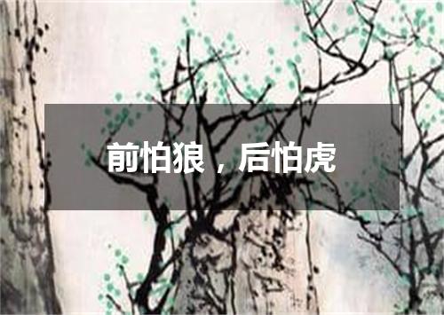 前怕狼，后怕虎