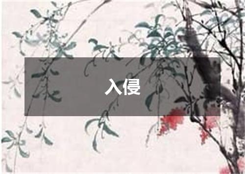 入侵