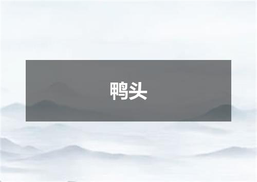 鸭头