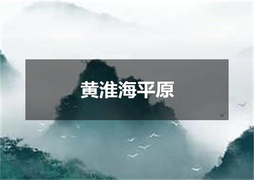 黄淮海平原