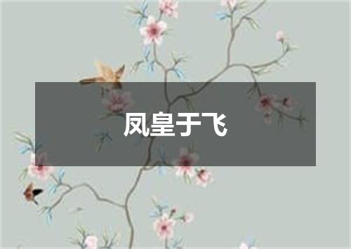凤皇于飞