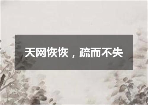 天网恢恢，疏而不失