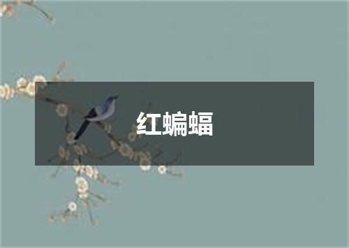 红蝙蝠