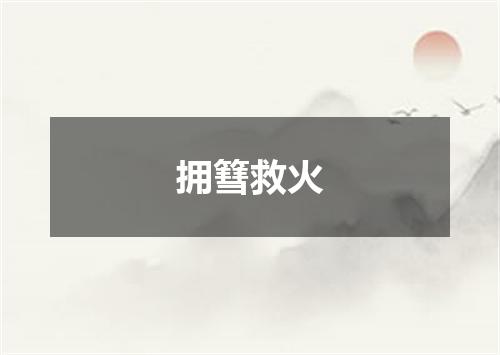 拥篲救火