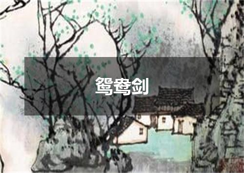 鸳鸯剑