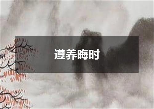 遵养晦时