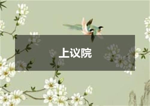 上议院