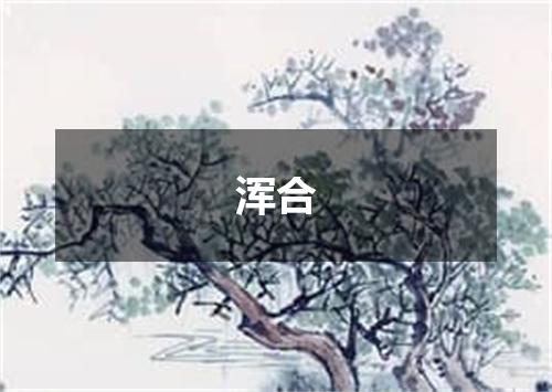 浑合