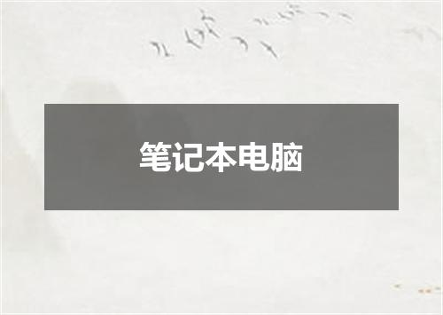笔记本电脑