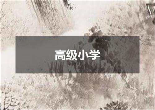 高级小学