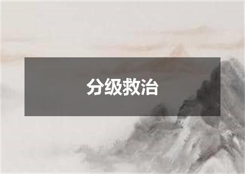 分级救治