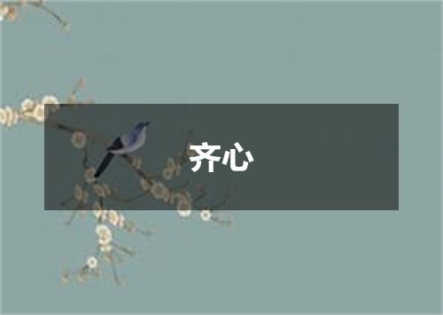 齐心
