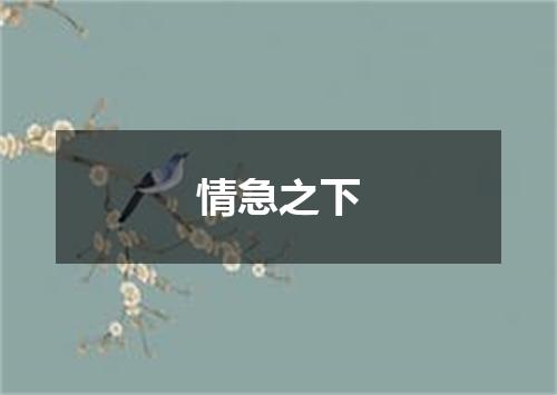 情急之下