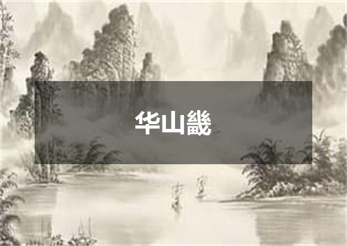 华山畿