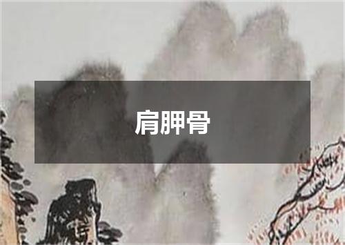 肩胛骨