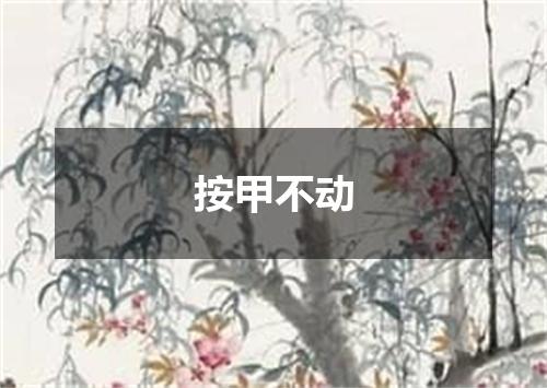 按甲不动