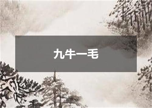九牛一毛
