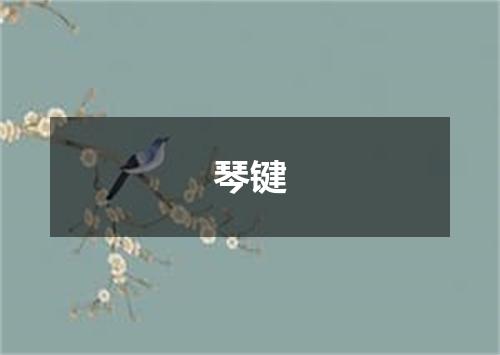琴键