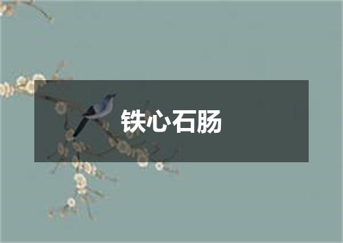 铁心石肠