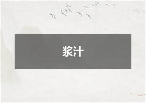浆汁