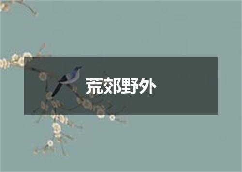 荒郊野外