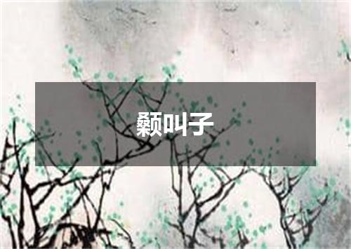颡叫子