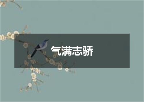 气满志骄