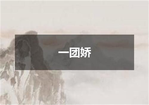 一团娇