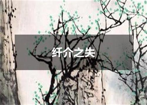 纤介之失